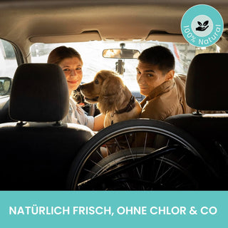 Stimio Auto Pro-Clean | Nettoyage intérieur probiotique en profondeur (1000 ml)