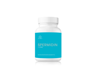 Spermidin + Zink