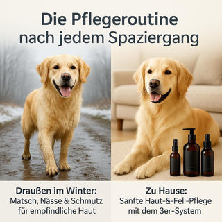 Haut- & Fell-Retter Set Groß – Anti-Juckreiz + Sensitiv Shampoo + Haut-Tonic 1 Liter