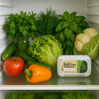 Stimio Fresh-Cube | The storage set for the entire household (4 pieces)